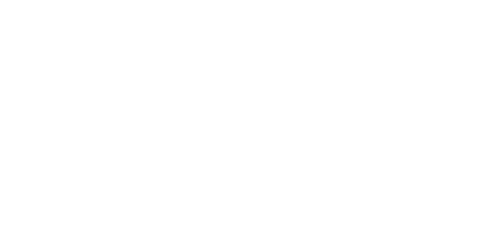 Hotel The Island